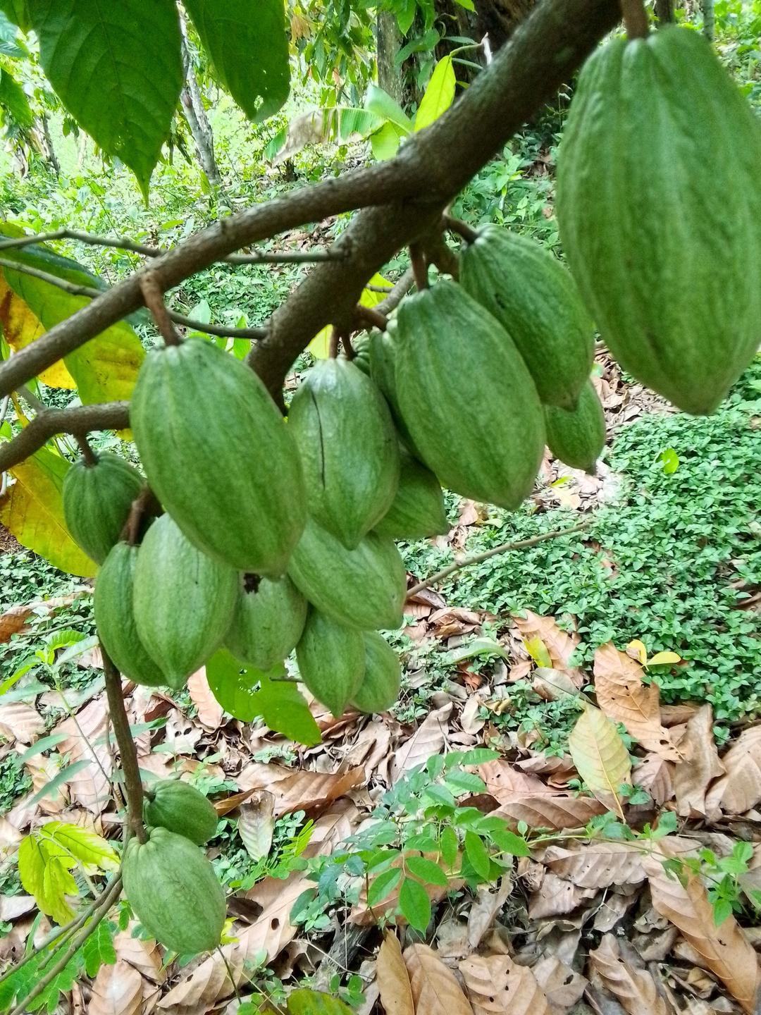 black framed eyeglasses